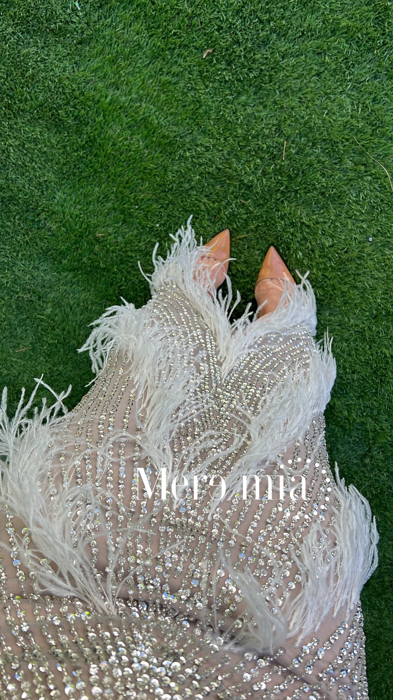 Conjunto apl plumas